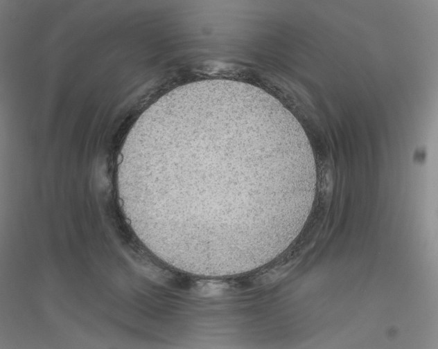 X0000116790607201001291520