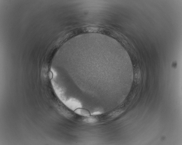 X0000116790610201001291520