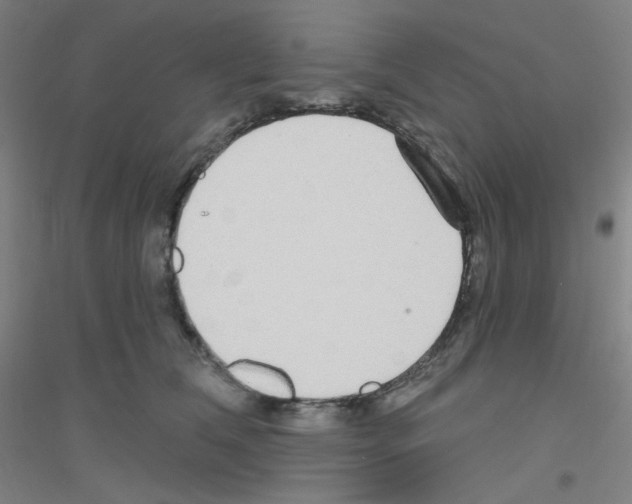 X0000116790612201001291520