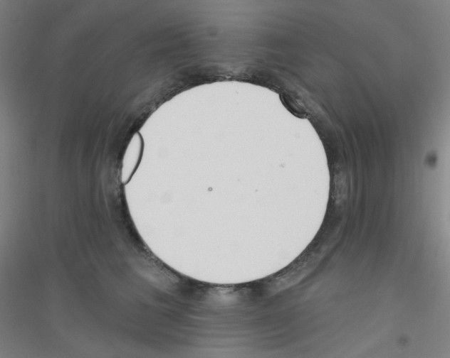 X0000116790613201001291520