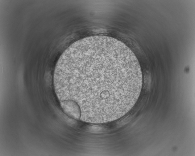 X0000116790614201001291520