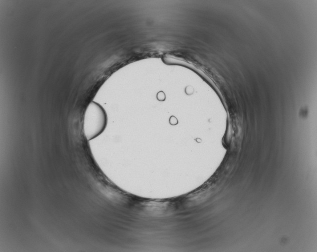 X0000116790615201001291520