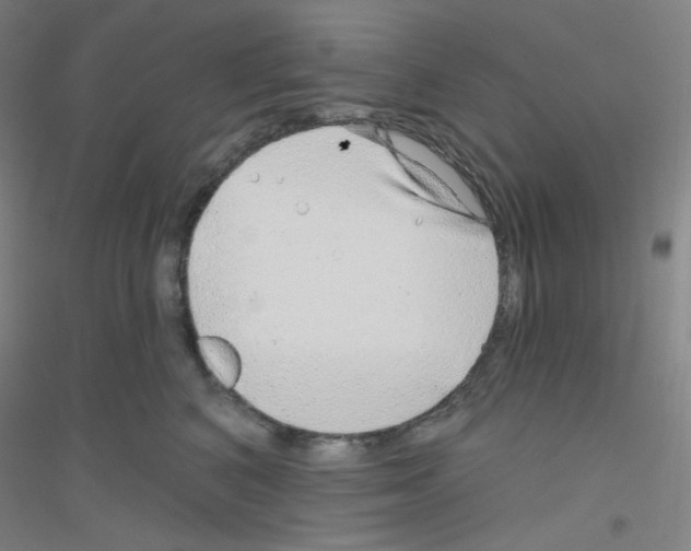 X0000116790616201001291520