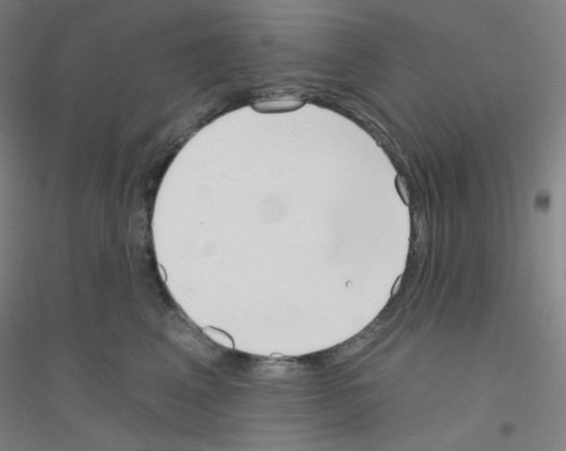 X0000116790617201001291520