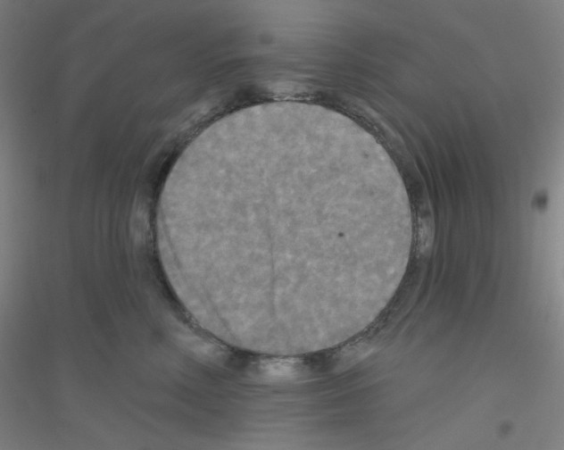 X0000116790618201001291520