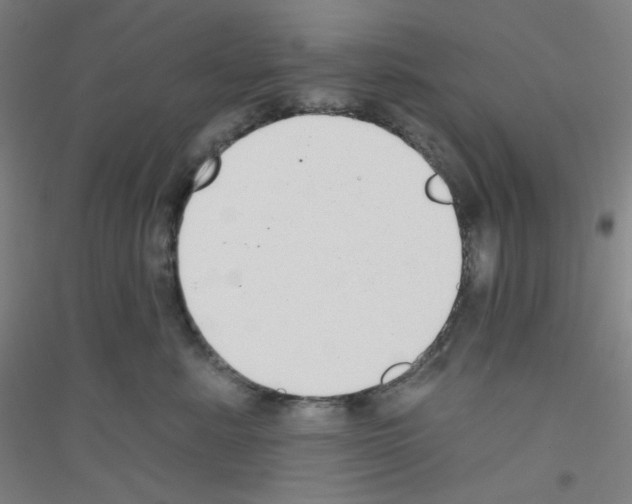 X0000116790619201001291520