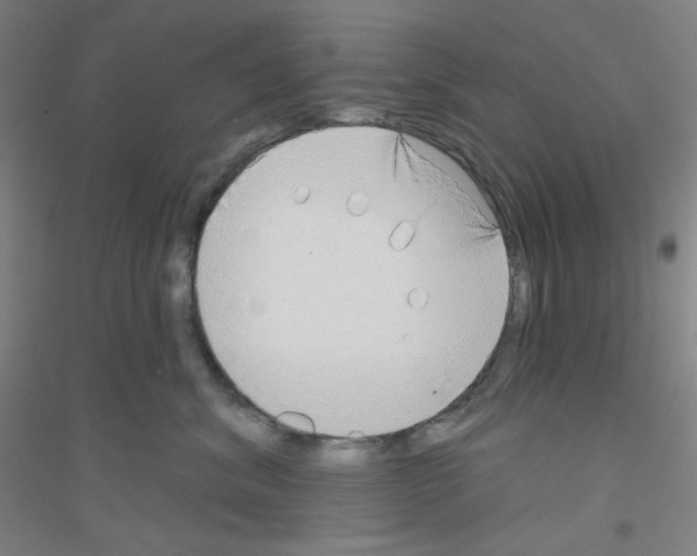 X0000116790620201001291520