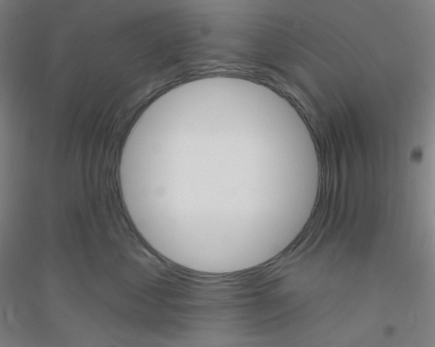X0000116790621201001291520