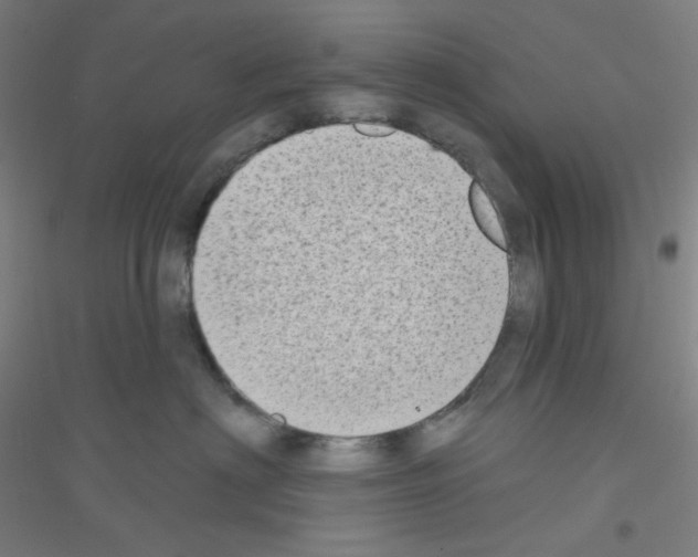 X0000116790622201001291520