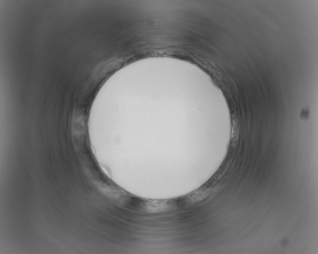 X0000116790623201001291520