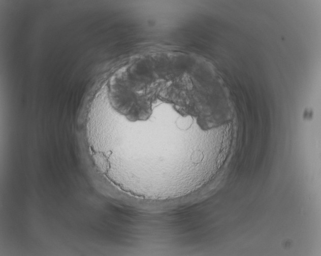 X0000116790624201001291520