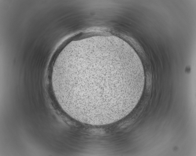 X0000116790628201001291519
