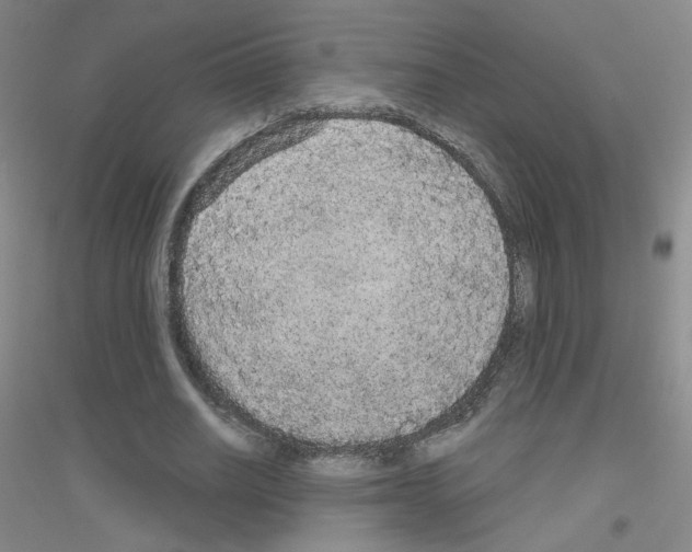 X0000116790630201001291519