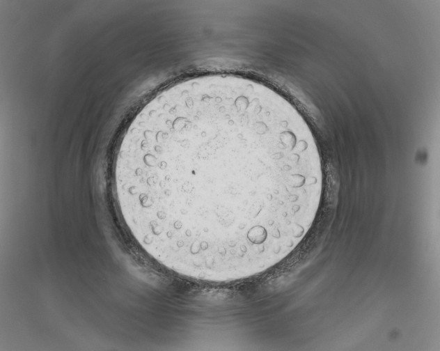 X0000116790631201001291519