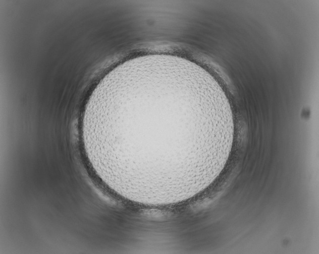 X0000116790633201001291519