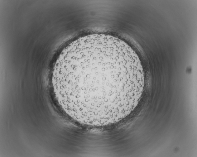 X0000116790635201001291519