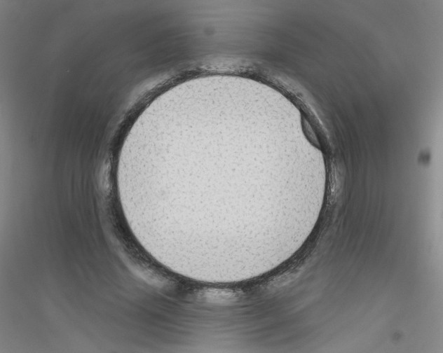 X0000116790636201001291519