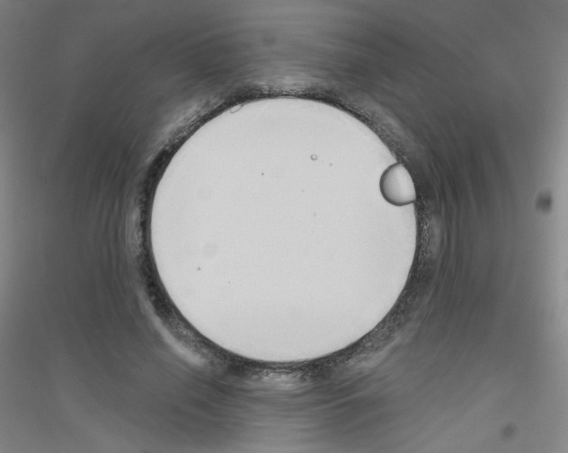 X0000116790638201001291519