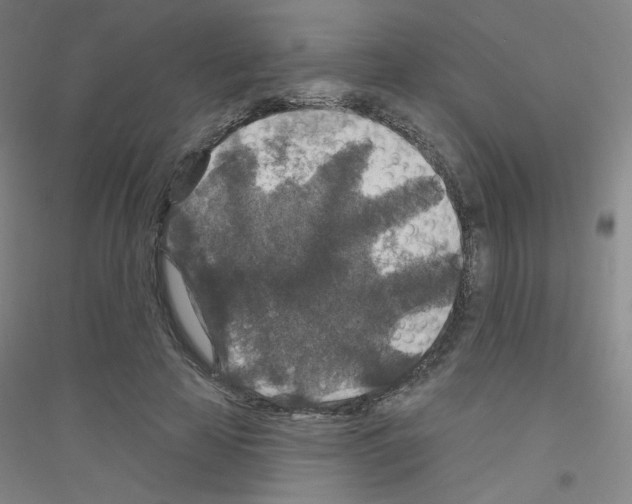 X0000116790641201001291519