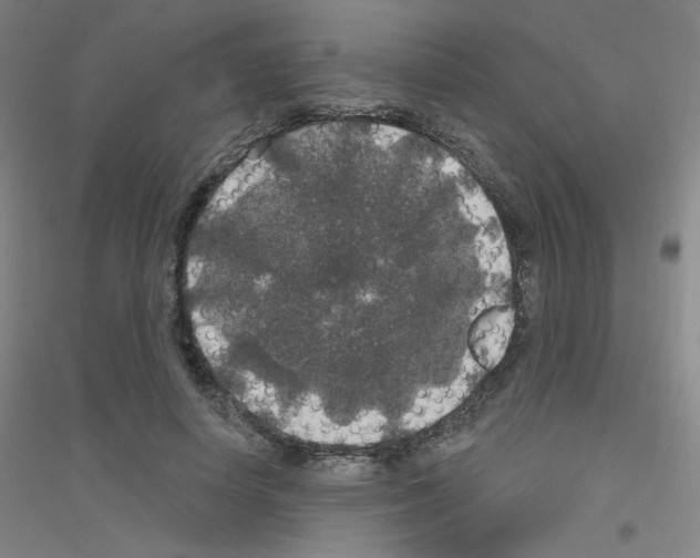 X0000116790642201001291519
