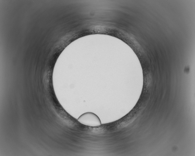 X0000116790645201001291519