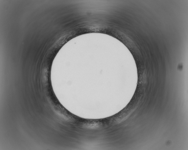X0000116790646201001291519