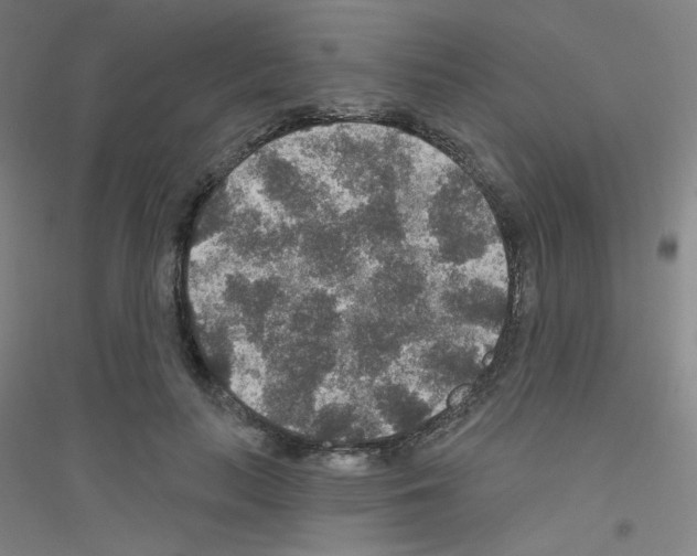 X0000116790647201001291519
