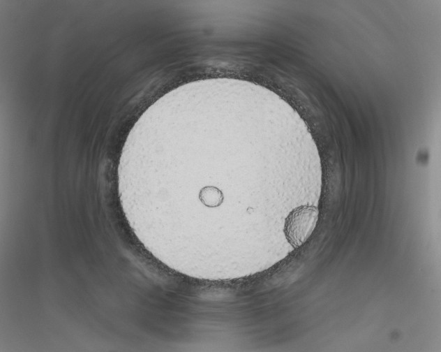 X0000116790649201001291519