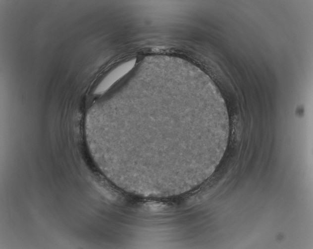 X0000116790650201001291520