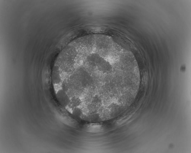 X0000116790651201001291520