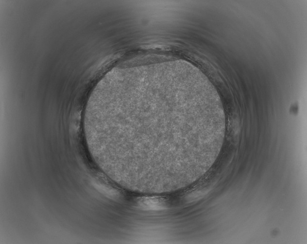 X0000116790652201001291520