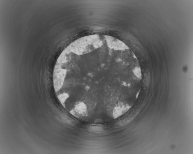 X0000116790653201001291520