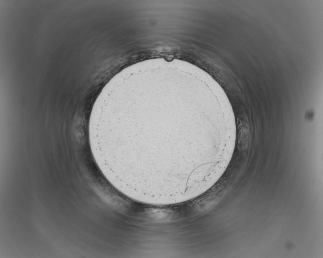X0000116790654201001291520