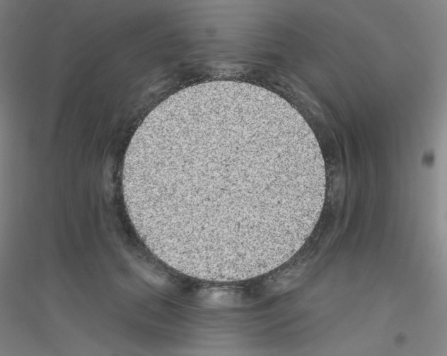 X0000116790655201001291520