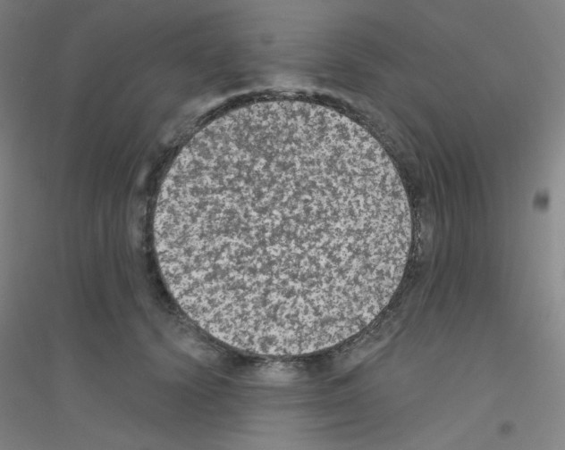 X0000116790656201001291520