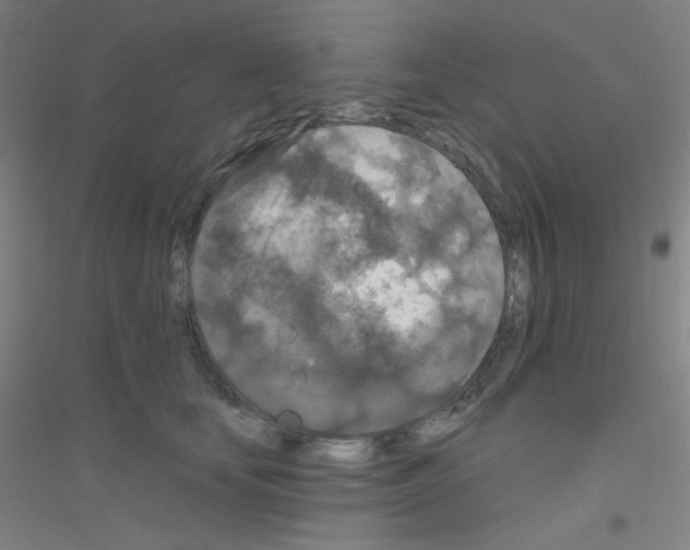 X0000116790659201001291520
