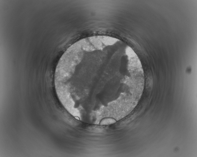X0000116790661201001291520