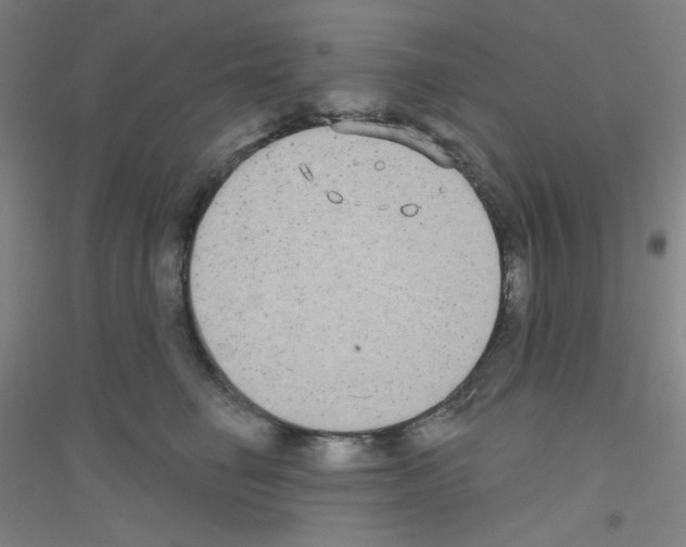 X0000116790662201001291520