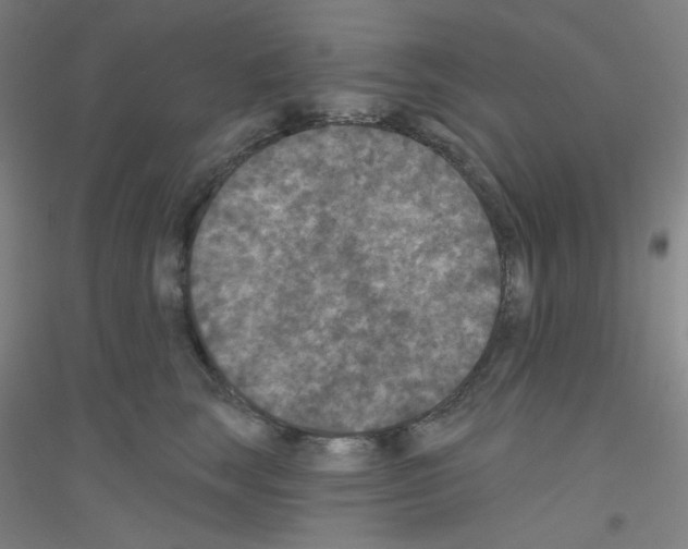 X0000116790663201001291520