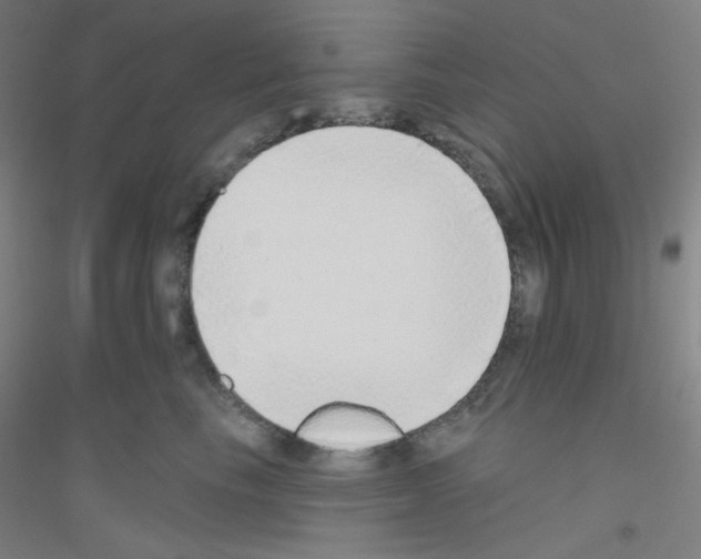 X0000116790665201001291520