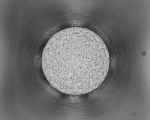 X0000116790666201001291520