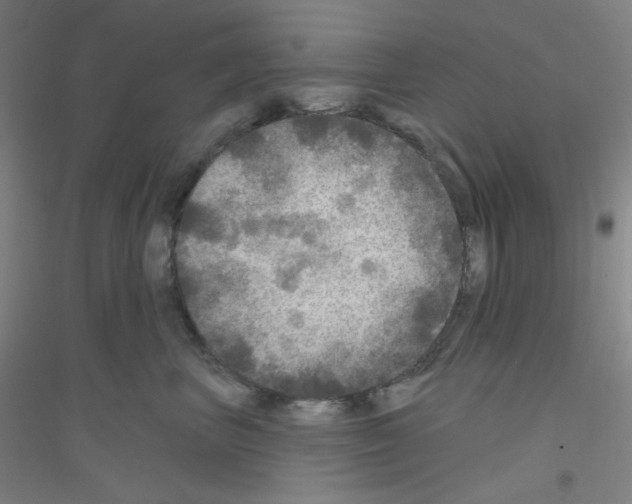 X0000116790667201001291520