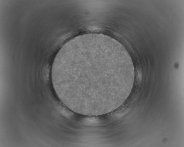 X0000116790668201001291520