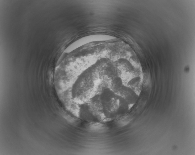 X0000116790669201001291520