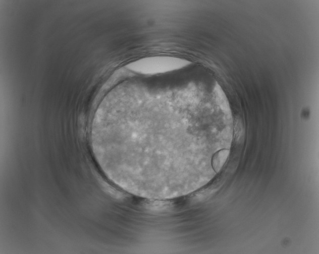 X0000116790670201001291520
