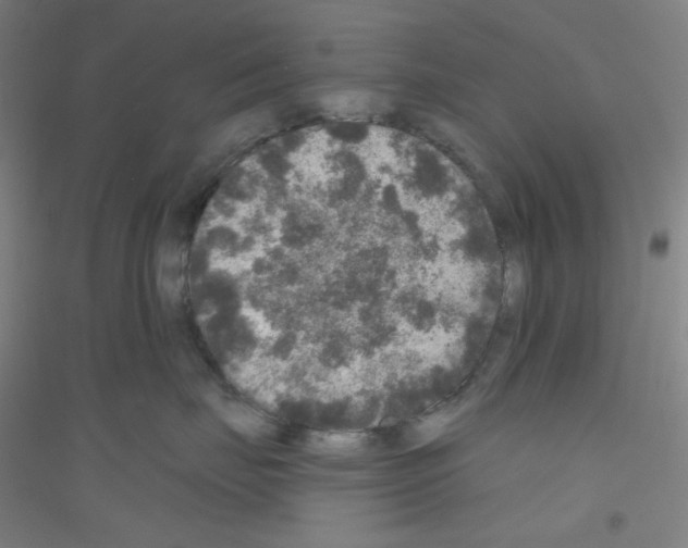 X0000116790671201001291520