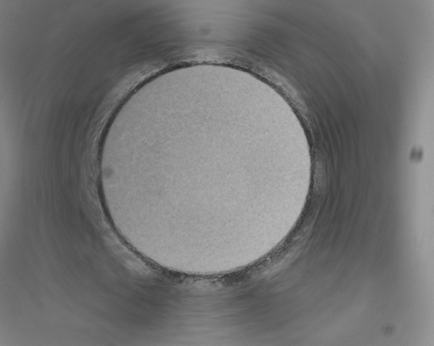 X0000116790673201001291519