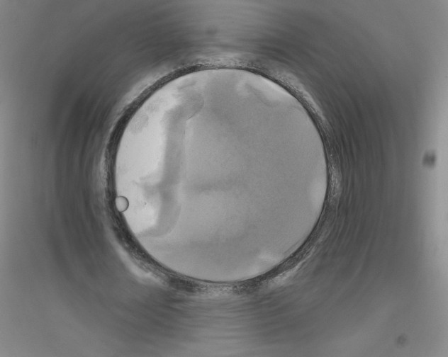 X0000116790674201001291519
