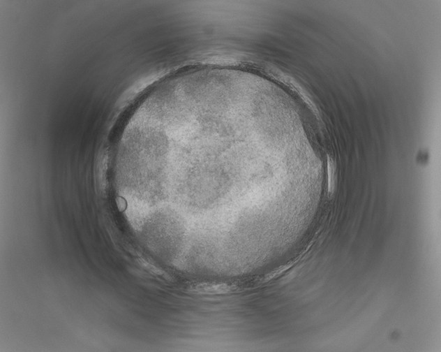 X0000116790675201001291519