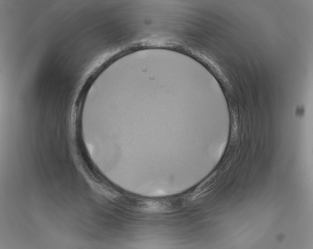 X0000116790678201001291519